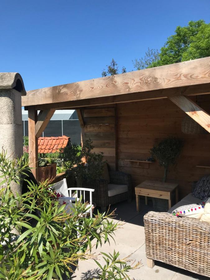 Birdy Villa Vogelenzang Exterior foto